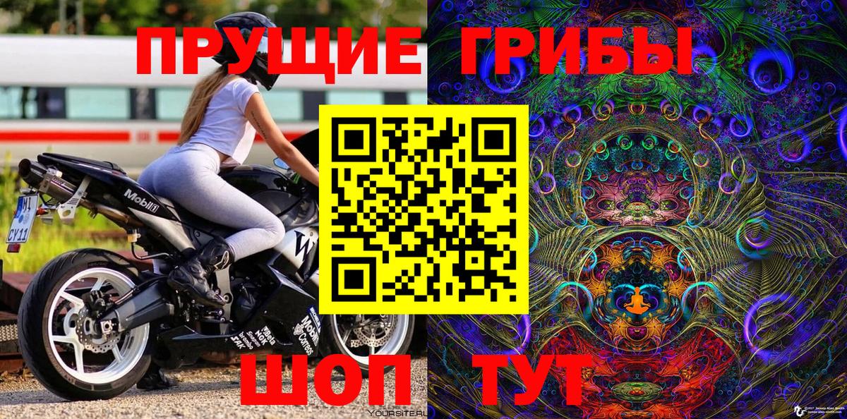 Галлюциногенные грибы Cubensis Павлово